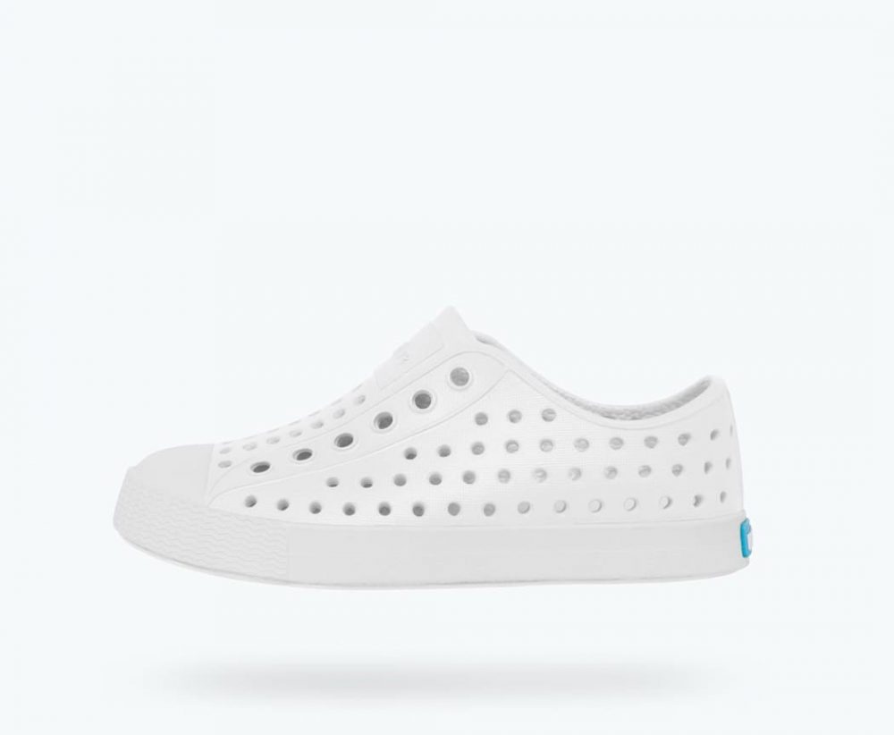 native-jefferson-shell-white-shell-white