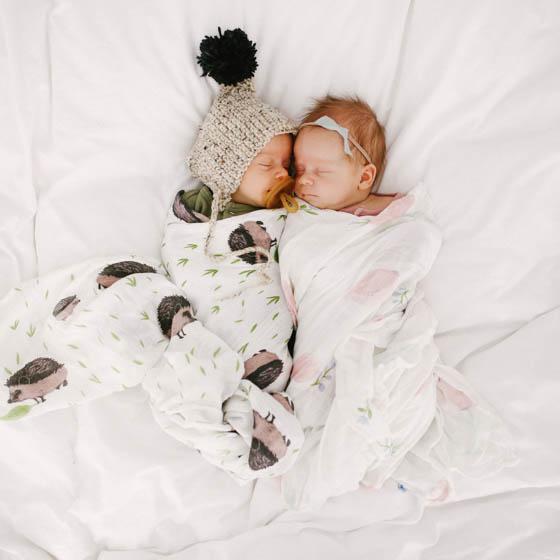 b5a6c883-98f1-482e-ba44-d8476279f281