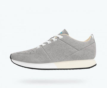 native-cornell-adult-pigeon-grey-shell-white