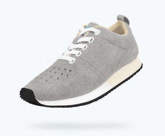 native-cornell-adult-pigeon-grey-shell-white