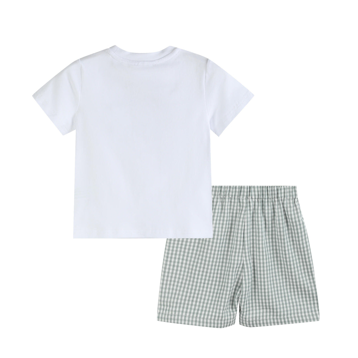 Light Green Dinosaur Smocked Shirt and Shorts