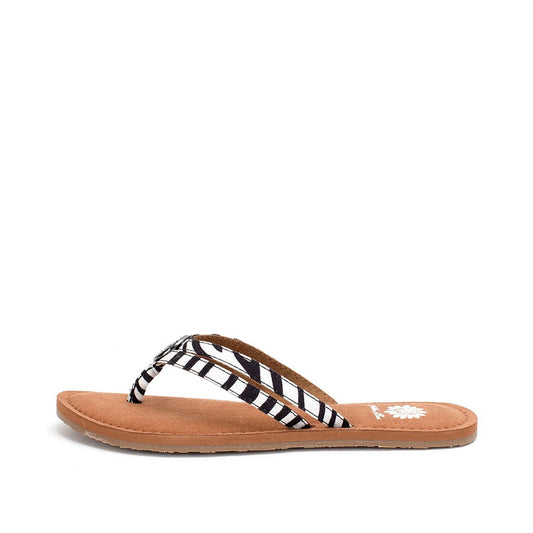yellow-box-divity-zebra