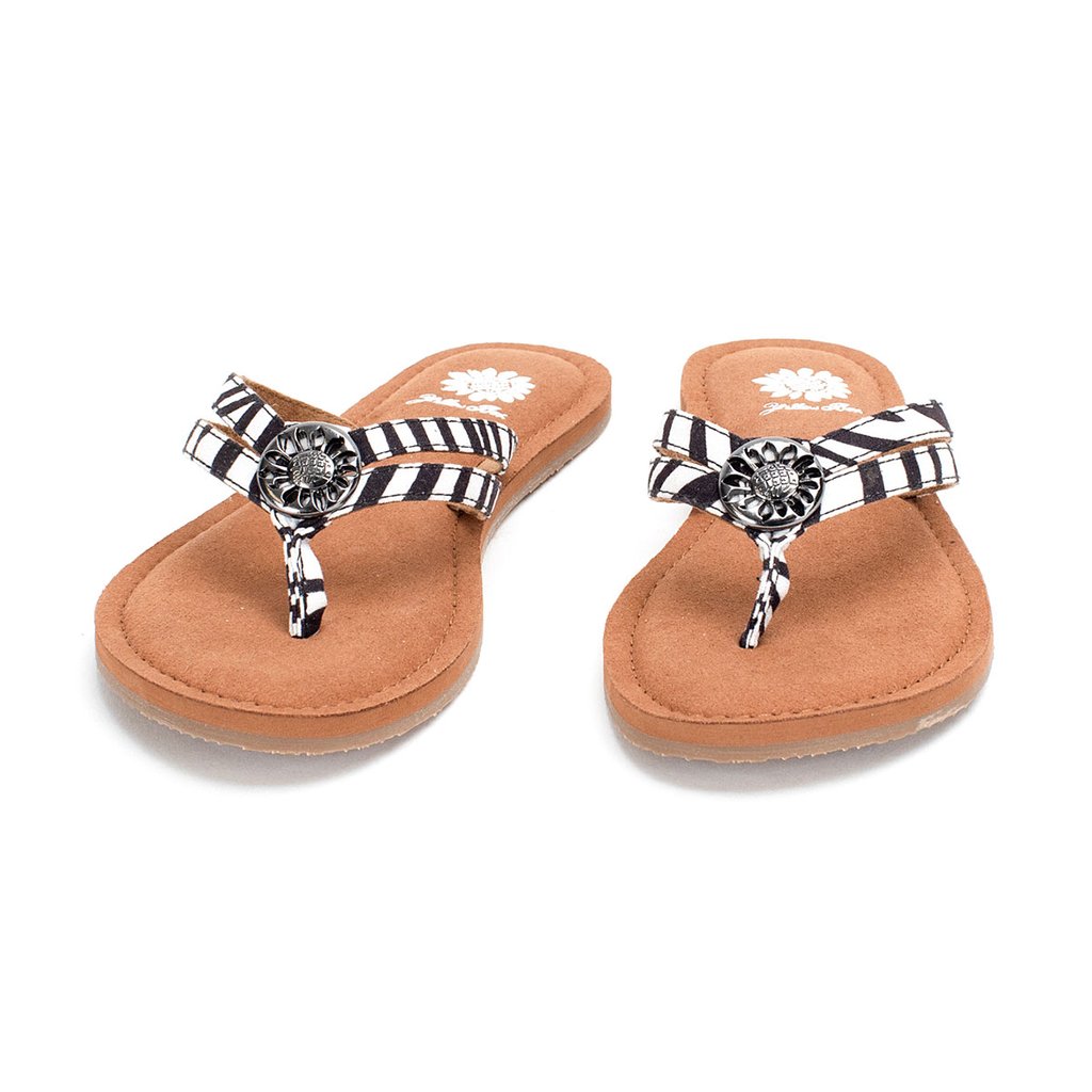 yellow-box-divity-zebra