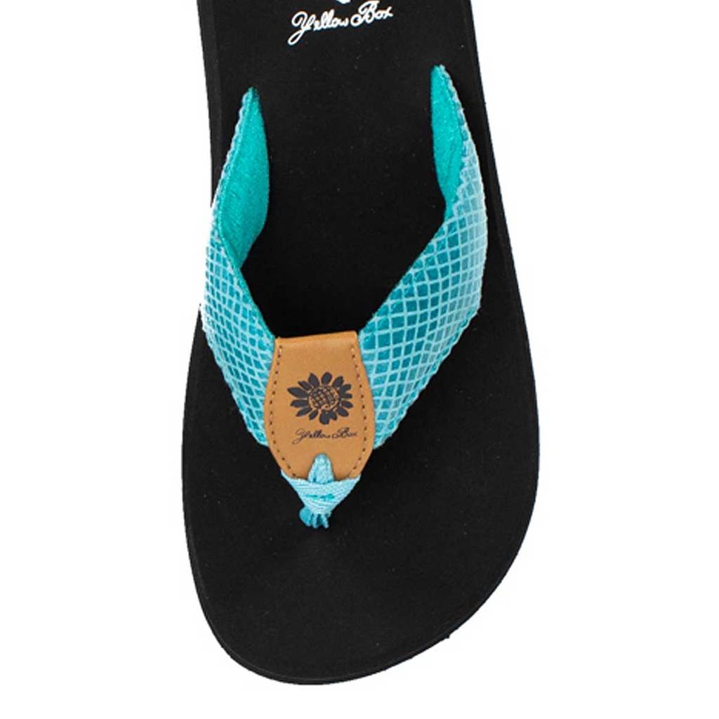 yellow-box-faya-teal