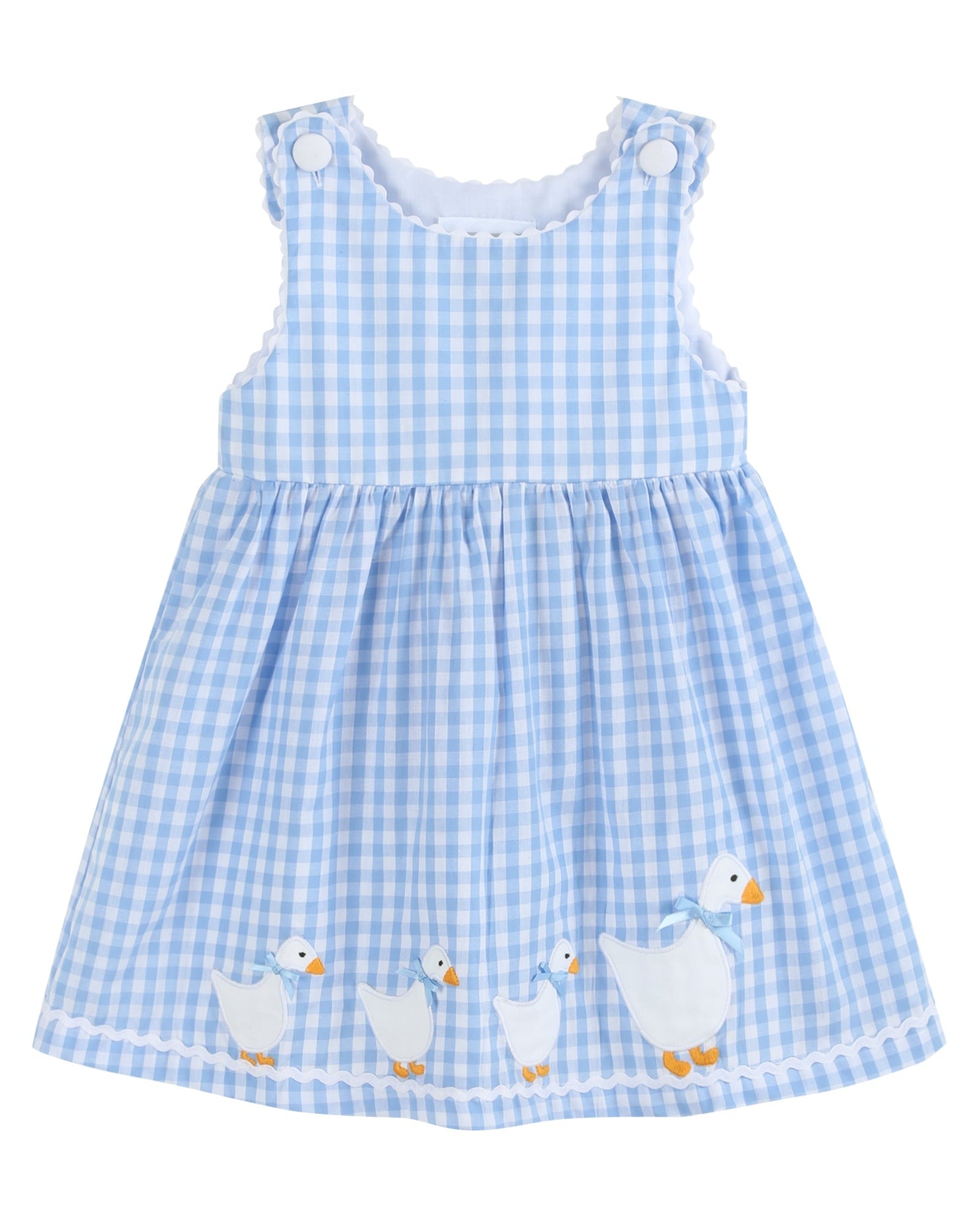 Blue Gingham Goose A Line Dress