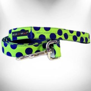 classic-neon-blue-dots-print-nylon-dog-leash